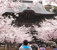 建長寺の写真・動画_image_37383