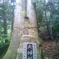 岩上神社の写真・動画_image_61771