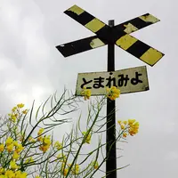 第2五之町踏切の写真・動画_image_72361