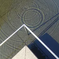 鈴木大拙館の写真・動画_image_190188