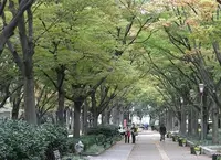 うらやの写真・動画_image_22191