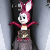 ワンダアカフェの写真・動画_image_241252