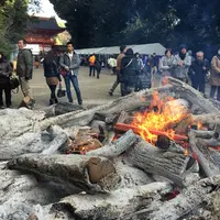 下鴨神社（賀茂御祖神社）の写真・動画_image_56646
