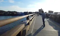 宇治橋の写真・動画_image_121533