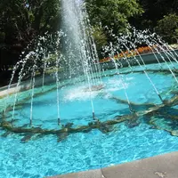 北海道大学の写真・動画_image_34518