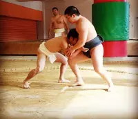 奄美体験交流館の写真・動画_image_61419
