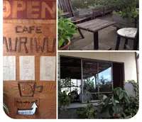 Cafe MURIWUIの写真・動画_image_155653