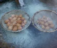 奥飛騨温泉郷 平湯温泉 ひらゆの森の写真・動画_image_396156