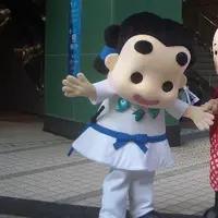 和泉市の写真・動画_image_172907