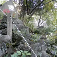駒込富士神社の写真・動画_image_101271