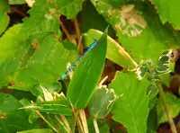 恐山の写真・動画_image_23225