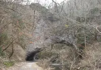 帝釈峡の写真・動画_image_23303