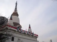大乗教の写真・動画_image_24976