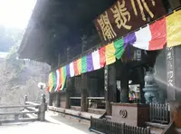 長谷寺の写真・動画_image_26278