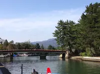 智恵の輪の写真・動画_image_27516