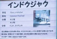高鼻町４丁目の写真・動画_image_27566