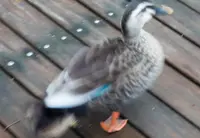 高鼻町４丁目の写真・動画_image_27586