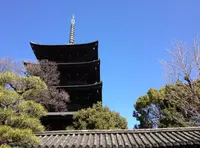 東寺（教王護国寺）の写真・動画_image_28106