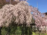 高野山の写真・動画_image_30191