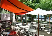 明治神宮外苑いちょう並木の写真・動画_image_30815