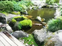 日光二荒山神社の写真・動画_image_35355