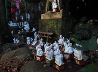 佐助稲荷神社の写真・動画_image_41499
