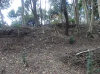 炬口城の写真・動画_image_56962