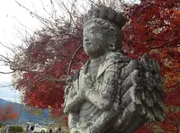 広沢池の写真・動画_image_66372