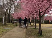 宇都宮城址公園の写真・動画_image_67199