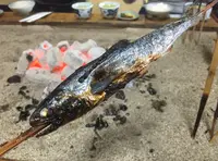 高森田楽保存会の写真・動画_image_71069