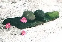 梅宮大社の写真・動画_image_78837