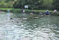 Dong Yue Yong Quanの写真・動画_image_1163030