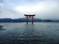 宮島（厳島）の写真・動画_image_124910