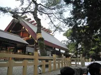 熱田神宮の写真・動画_image_126535