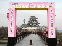墨俣桜まつりの写真・動画_image_128065