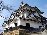 彦根城の写真・動画_image_132961