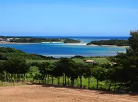 石垣島の写真・動画_image_139464