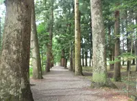 眼目山立山寺（通称さっかのてら）の写真・動画_image_146471