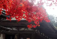 西明寺の写真・動画_image_204384