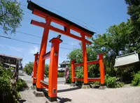 伊那下神社の写真・動画_image_241193