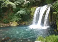河津七滝巡りの写真・動画_image_409963