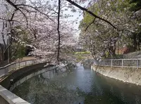 豊住橋（バス）の写真・動画_image_498250