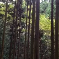 鏡石通の写真・動画_image_16505