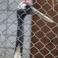 高鼻町４丁目の写真・動画_image_27527