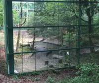 茨城県鳥獣センターの写真・動画_image_30913