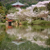 大覚寺の写真・動画_image_66373
