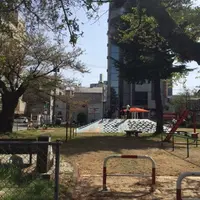 迦毘羅の写真・動画_image_133663