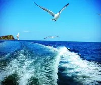 オタモイ海岸の写真・動画_image_17384