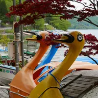 中禅寺湖の写真・動画_image_200003