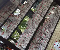 豪徳寺の写真・動画_image_20134